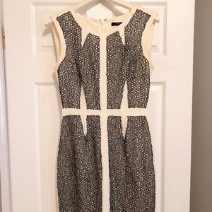 BCBG Fitted Shift Dress
